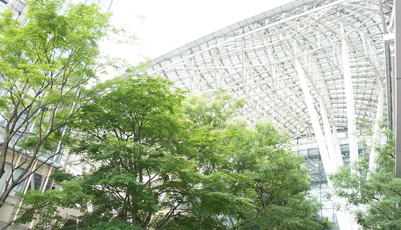 经典电子游戏 小声で：確かに昨夜は私たちの無礼でした